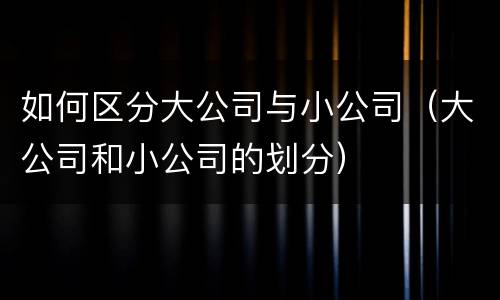 如何区分大公司与小公司（大公司和小公司的划分）