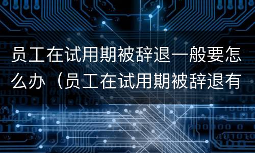 员工在试用期被辞退一般要怎么办（员工在试用期被辞退有什么补偿）