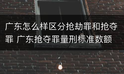 广东怎么样区分抢劫罪和抢夺罪 广东抢夺罪量刑标准数额