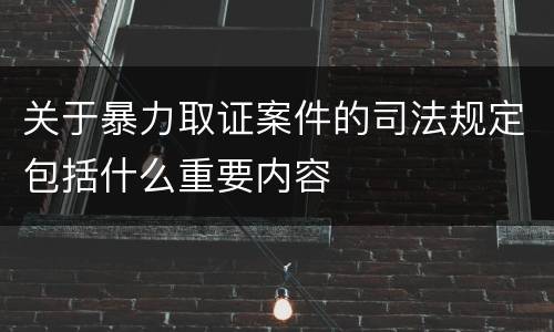关于暴力取证案件的司法规定包括什么重要内容
