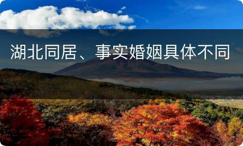 湖北同居、事实婚姻具体不同