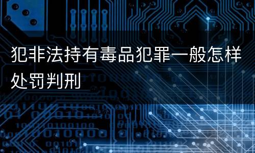 犯非法持有毒品犯罪一般怎样处罚判刑