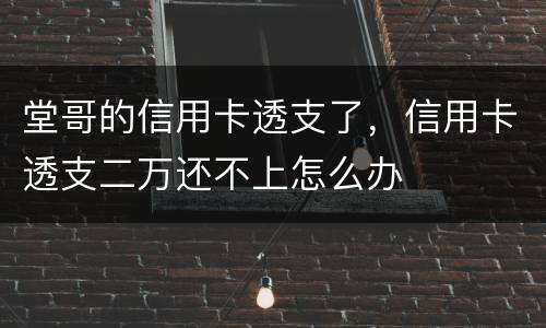 堂哥的信用卡透支了，信用卡透支二万还不上怎么办