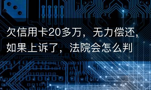 欠信用卡20多万，无力偿还，如果上诉了，法院会怎么判