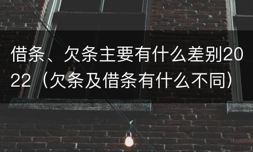 借条、欠条主要有什么差别2022（欠条及借条有什么不同）