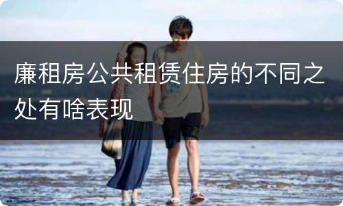 廉租房公共租赁住房的不同之处有啥表现