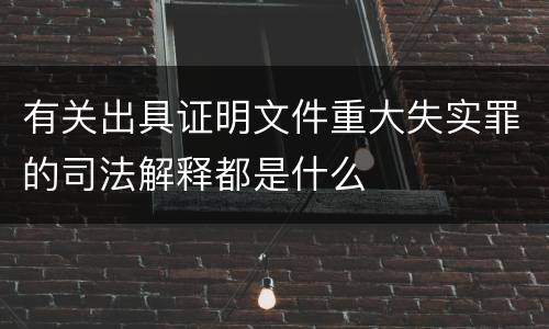 有关出具证明文件重大失实罪的司法解释都是什么