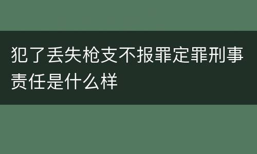 犯了丢失枪支不报罪定罪刑事责任是什么样