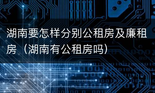 湖南要怎样分别公租房及廉租房（湖南有公租房吗）