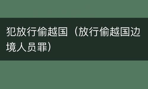 犯放行偷越国（放行偷越国边境人员罪）