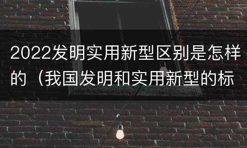 2022发明实用新型区别是怎样的（我国发明和实用新型的标准）