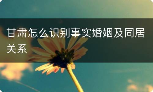 甘肃怎么识别事实婚姻及同居关系