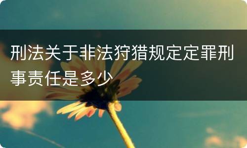 刑法关于非法狩猎规定定罪刑事责任是多少