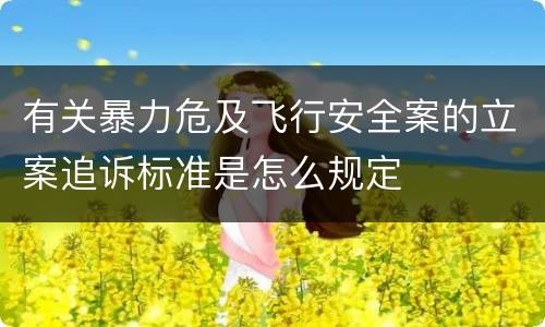 有关暴力危及飞行安全案的立案追诉标准是怎么规定