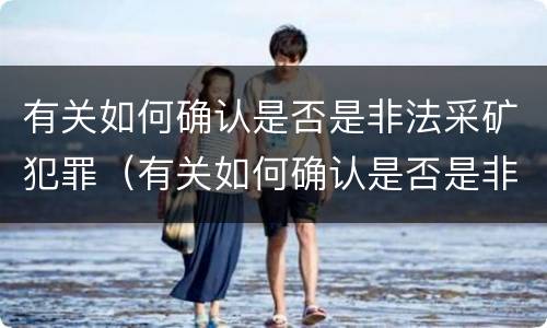 有关如何确认是否是非法采矿犯罪（有关如何确认是否是非法采矿犯罪的案例）