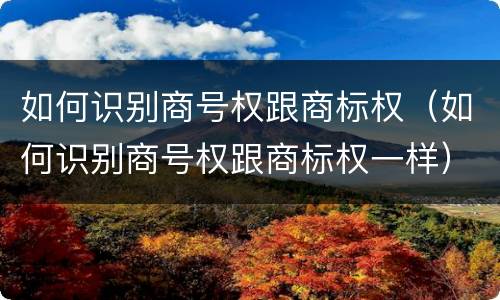 如何识别商号权跟商标权（如何识别商号权跟商标权一样）