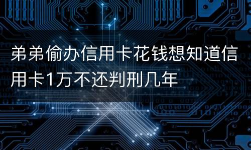 弟弟偷办信用卡花钱想知道信用卡1万不还判刑几年
