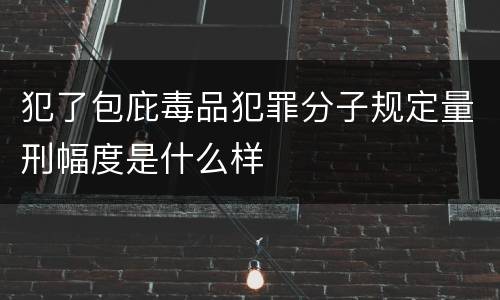 犯了包庇毒品犯罪分子规定量刑幅度是什么样