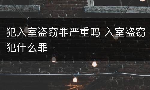 犯入室盗窃罪严重吗 入室盗窃犯什么罪