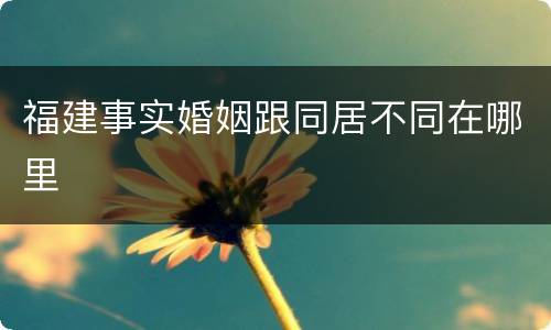 福建事实婚姻跟同居不同在哪里