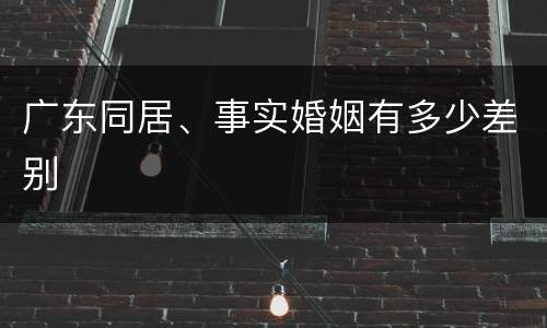广东同居、事实婚姻有多少差别