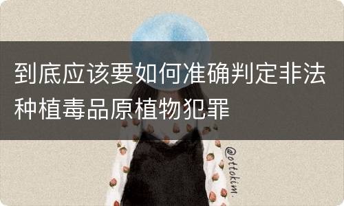 到底应该要如何准确判定非法种植毒品原植物犯罪