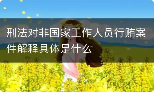 刑法对非国家工作人员行贿案件解释具体是什么