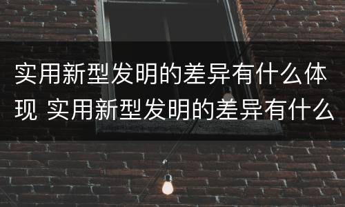 实用新型发明的差异有什么体现 实用新型发明的差异有什么体现和特点