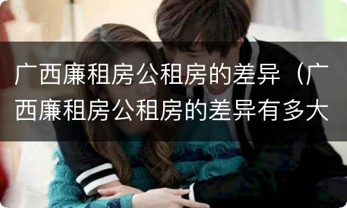 广西廉租房公租房的差异（广西廉租房公租房的差异有多大）