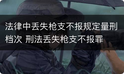 法律中丢失枪支不报规定量刑档次 刑法丢失枪支不报罪