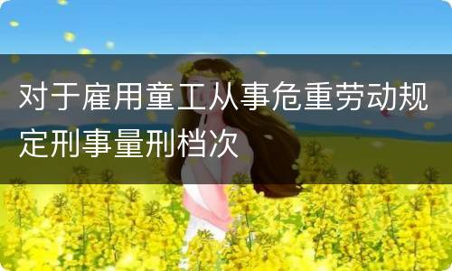 对于雇用童工从事危重劳动规定刑事量刑档次