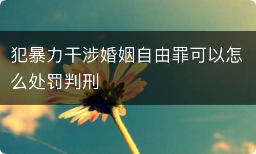 犯暴力干涉婚姻自由罪可以怎么处罚判刑