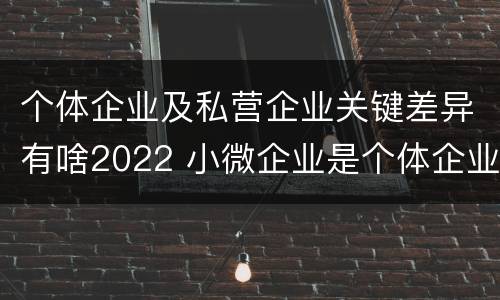 个体企业及私营企业关键差异有啥2022 小微企业是个体企业还是私营企业