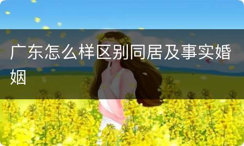 广东怎么样区别同居及事实婚姻