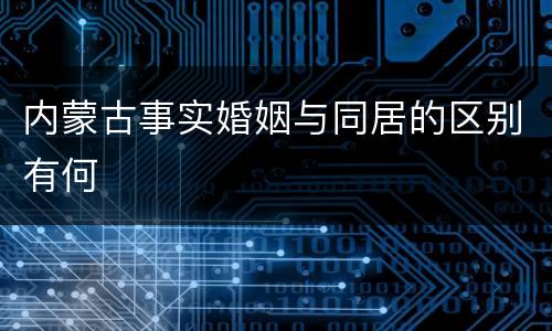 内蒙古事实婚姻与同居的区别有何