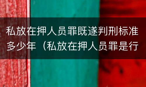 私放在押人员罪既遂判刑标准多少年（私放在押人员罪是行为犯吗）