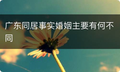 广东同居事实婚姻主要有何不同