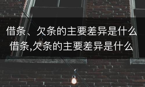借条、欠条的主要差异是什么 借条,欠条的主要差异是什么