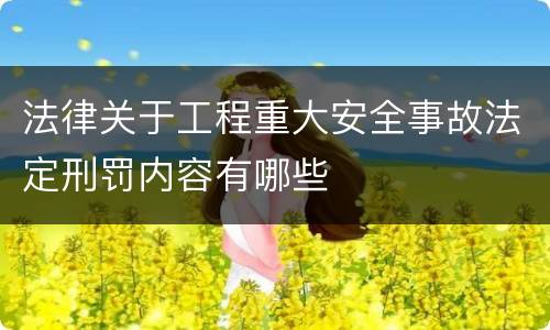 法律关于工程重大安全事故法定刑罚内容有哪些