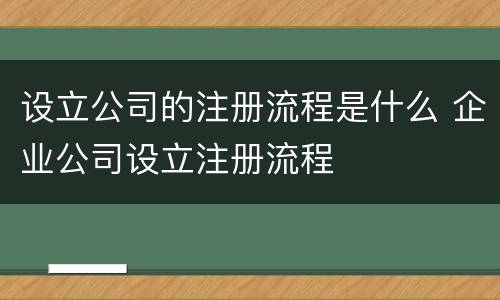 设立公司的注册流程是什么 企业公司设立注册流程