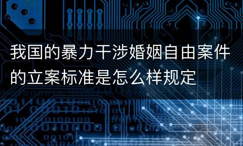 我国的暴力干涉婚姻自由案件的立案标准是怎么样规定