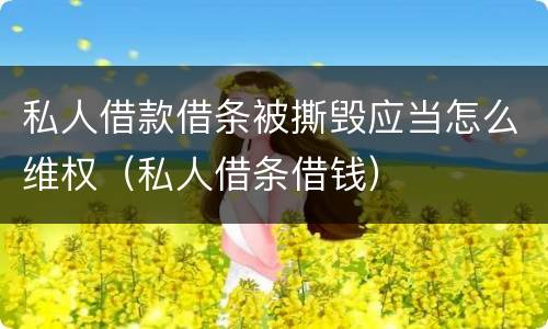 私人借款借条被撕毁应当怎么维权（私人借条借钱）