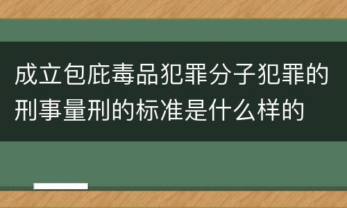 成立包庇毒品犯罪分子犯罪的刑事量刑的标准是什么样的