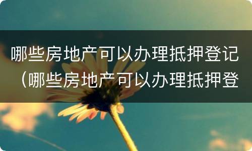哪些房地产可以办理抵押登记（哪些房地产可以办理抵押登记手续）