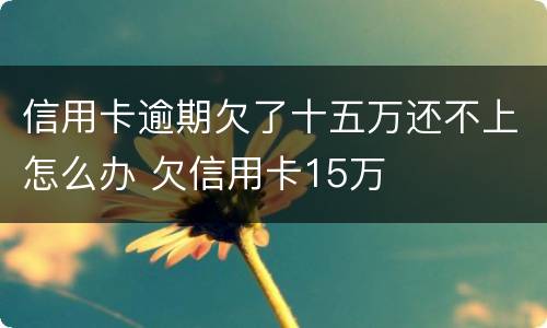 信用卡逾期欠了十五万还不上怎么办 欠信用卡15万