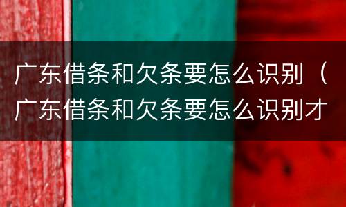 广东借条和欠条要怎么识别（广东借条和欠条要怎么识别才正规）