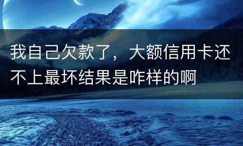 我自己欠款了，大额信用卡还不上最坏结果是咋样的啊