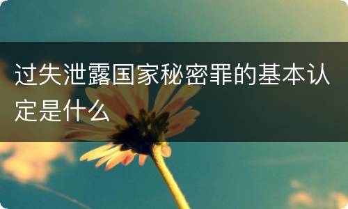 过失泄露国家秘密罪的基本认定是什么