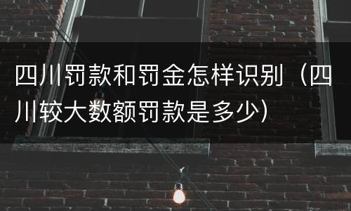 四川罚款和罚金怎样识别（四川较大数额罚款是多少）