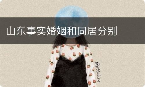 山东事实婚姻和同居分别